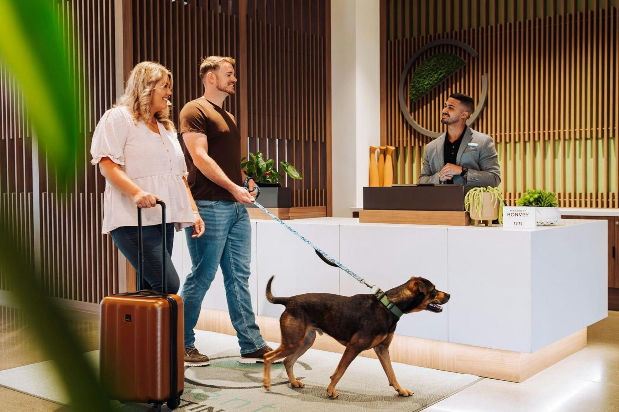 ホテル Element Reno Experience District エクステリア 写真
